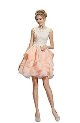 Organza/Satin Lace Crystal Sheer Crystals Jeweled Homecoming Dress 