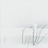 In Frostigen Taelern