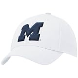 Nike Michigan Wolverines White Swoosh Flex-Fit Hat