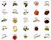 Price Comparison : Spice Labels - Photos