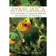 Ayahuasca: The Visionary and Healing Powers of the Vine of the Soul