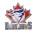 Baseball Pin - Toronto Blue Jays Logo Pin