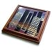 Perkins Designs Cities And Structures - Silicon City the geography of San Francisco California on a computer mother board - Trivets