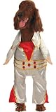 Rock Star Pet Costumes-Small