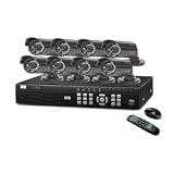 Digital Peripheral Solutions Q-See QS408-811-5 8 Channel H.264 DVR with 8 Indoor/Outdoor Cameras and 500GB Hard Drive