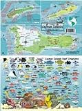 Frankos Cayman Islands Fish Cards