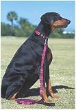 Lupine Large Dog Leash - Ruby Cube 4 ft.