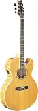 Musical Instruments : Washburn EA20SDL Deluxe Festival Series Acoustic-Electric Guitar w/Case