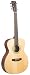Recording King Classic Series I OOO-Style Acoustic Guitar (Mahogany)