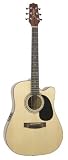 Acoustic-Electric Guitars