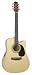 Musical Instruments : Takamine Jasmine ES45C Dreadnought Cutaway Acoustic-Electric Guitar