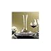Vivid Wine Decanter