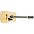 Epiphone DR-212  Dreadnought 12-string