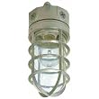 Cooper Lighting VT100G 100W Vapor Tight Light