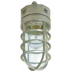 Cooper Lighting VT100G Haymow Utility Light