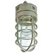 Cooper Lighting VT100G Haymow Utility Light