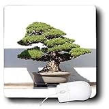 Trees - Bonsai Tree - Mouse Pads