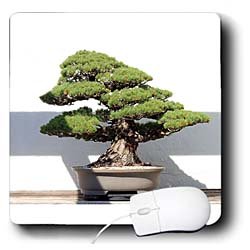 Trees - Bonsai Tree - Mouse Pads