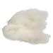 1 Lb Bag of Carded Carbonized Wool - White