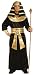 Ancient Pharoh Halloween Costume for Adults