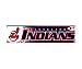 MLB Baseball Cleveland Indians Bumper Sticker