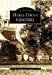 Book Maple Grove Cemetery  (NY)  (Images of America)