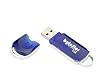 ByteStor 2GB USB  High Speed "Dataferry" Flash Drive