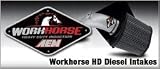 AEM (21-9210DC2500) Workhorse HD Diesel Air Intakes - 5.9L Cummings - Silver
