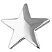 PinMart's Classic Shiny Silver Star Lapel Pin Employee Student Recognition Gift