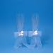 Beverly Clark 20Q Amour Wedding Toasting Flutes in White