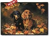 Dachshunds Dachshund Dogs Indoor / Outdoor Designer Doormat