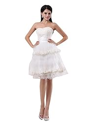 A-line Strapless Tulle Knee Length Short Natural   Waistline Sweetheart Lace Vintage  Dress
