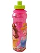 Disney's Princess Series "Princesses in Garden" Large Water Bottle / Sports Sipper