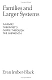 Families and Larger Systems: A Family Therapists Guide Through the Labyrinth (Guilford Family Therapy Series)
