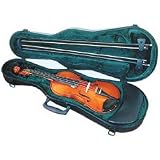Violin Bags & Cases