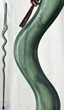 Cactus Brazos River Bend Walking Stick