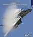Uncovering the Grumman F-14 A / B & D