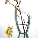 8 INCH BOWED VASE - LIFE STYLE 8 INCH BOWED GLASS VASE - vase