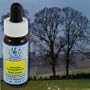 Flower Essence Healing Herb Elm Supplement Dropper -- 0.25 fl oz