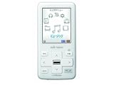 �ӥ����� alneo 2GB �ۥ磻�� XA-V20-W