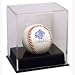 Deluxe acrylic baseball case