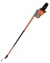 Remington RM0612P 6-Inch 6-Amp Branch Wizard Electric Pruning Pole Saw