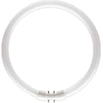 Philips TL5-C 22W/830 warmwhite 2GX13...