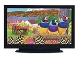 Product details for 42 Network Plasma Display, 1024X768 Native Resolution