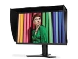 NEC SpectraView 2490 61 cm  schwarz Monitor