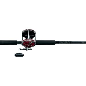 Penn Senator Conventional Boat Combo (6-Feet 6-Inch 30 Yard/50 Pound 113H/S113 1151520)