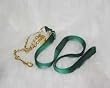Hamilton Deluxe 7' x 1" Nylon Lead Shank with 24" Chain, Green
