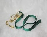 Hamilton Halter Company S T Nylon Lead W Chain & Snap Green 7 Feet - 17D24 GN