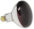Havells-SLI 03072 - 250R40/10/WP/BX - 250 Watt BR40 Incandescent Heat Lamp Light Bulb, Red Bowl