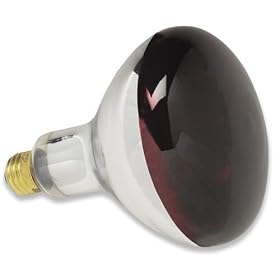 Incandescent Light Bulb, Heat Lamp, BR40, 250 Watt, Red Bowl by SLI Lighting